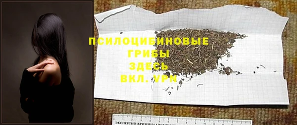 шишки Тихорецк