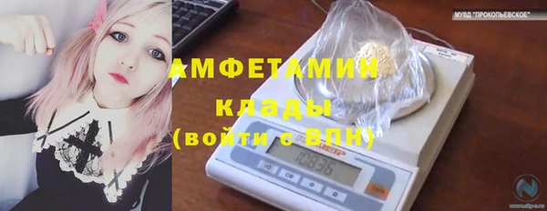 сатива Михайлов
