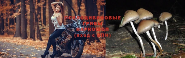 герыч Медвежьегорск