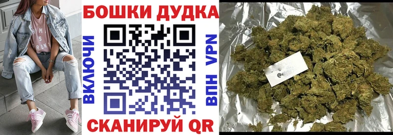 Конопля Bruce Banner  Цоци-Юрт 